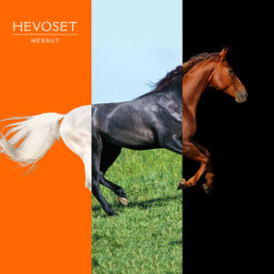 Hevoset 2026